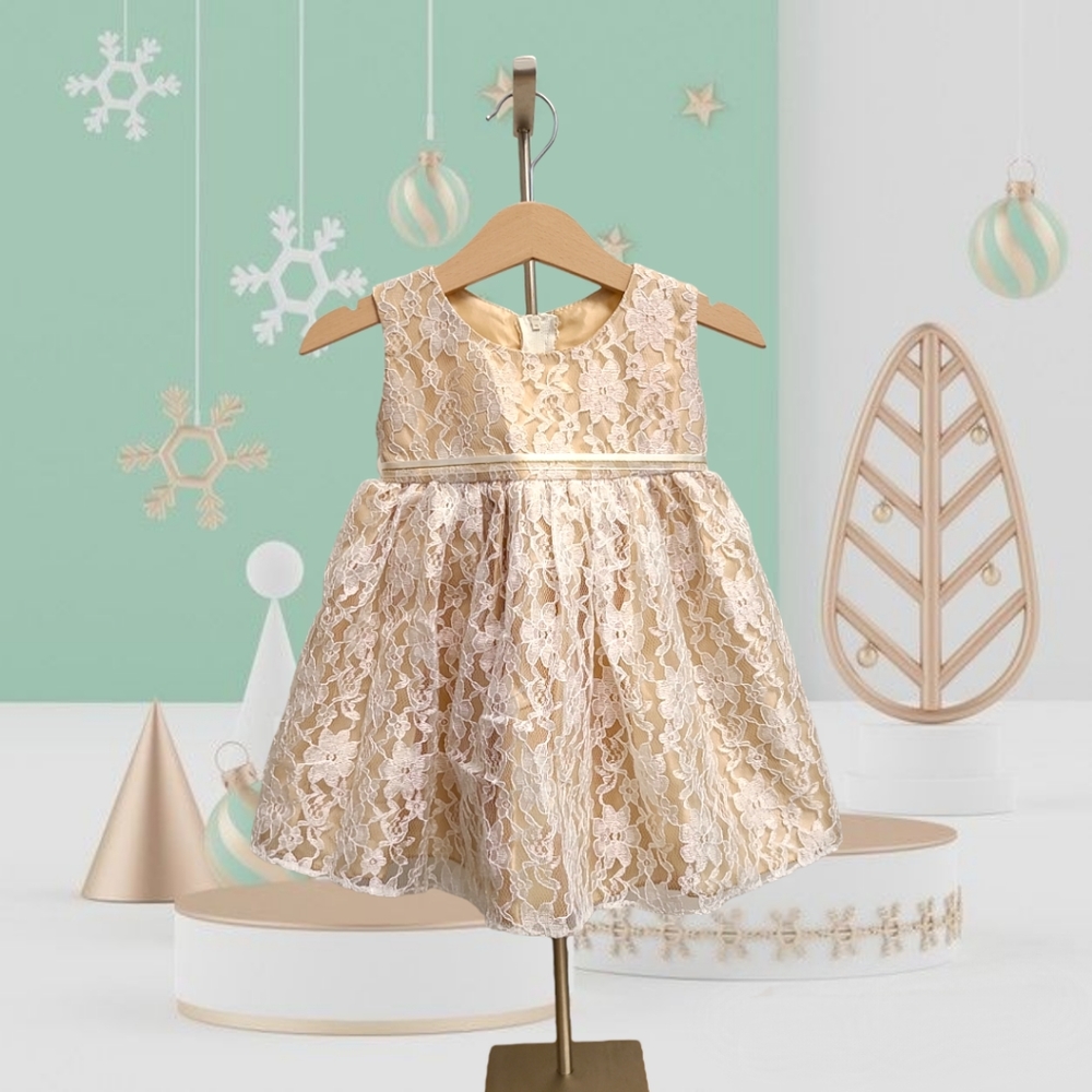 Baby Cinderella Couture Lace Flowers Dress